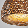 Wren ceiling pendant light image