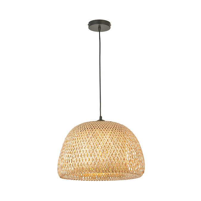 Wren ceiling pendant light image