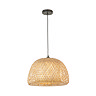 Wren ceiling pendant light image